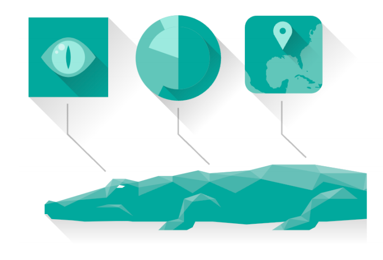 image-20240503101919133